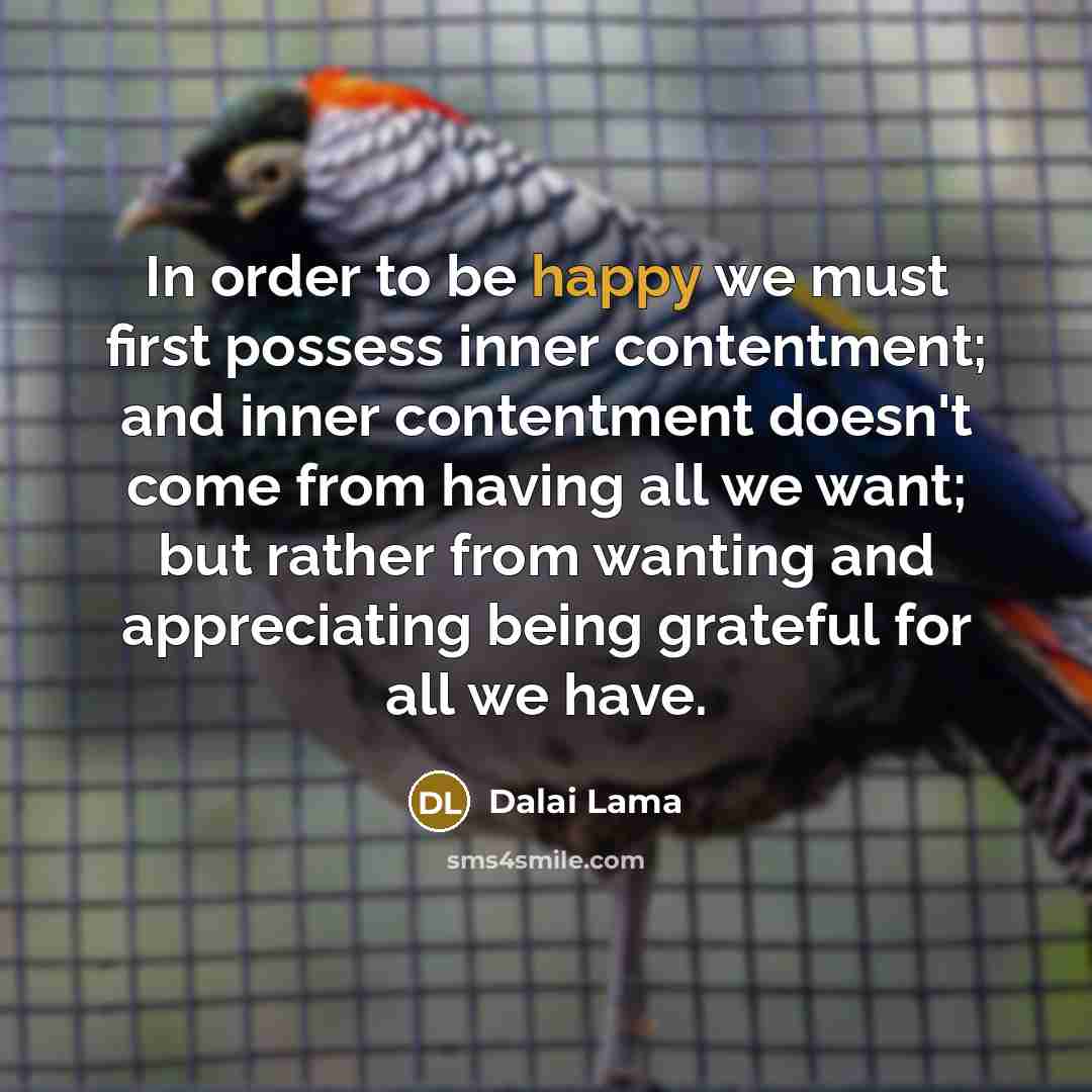 “In order to be happy we must first possess inner…” quote by Dalai Lama