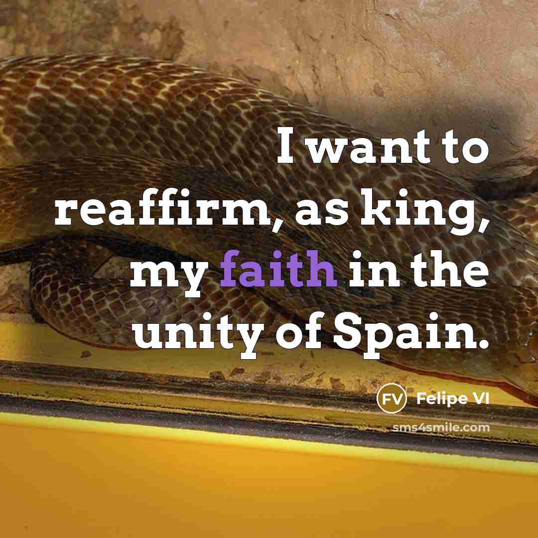 “I want to reaffirm, as king, my faith in the…” quote by Felipe VI