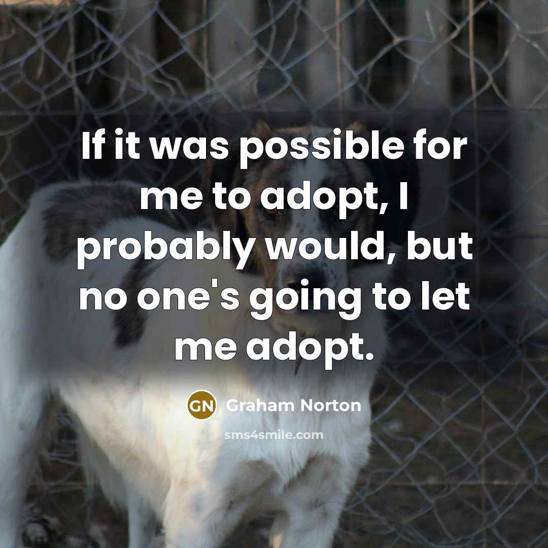 “If it was possible for me to adopt, I probably…” quote by Graham Norton