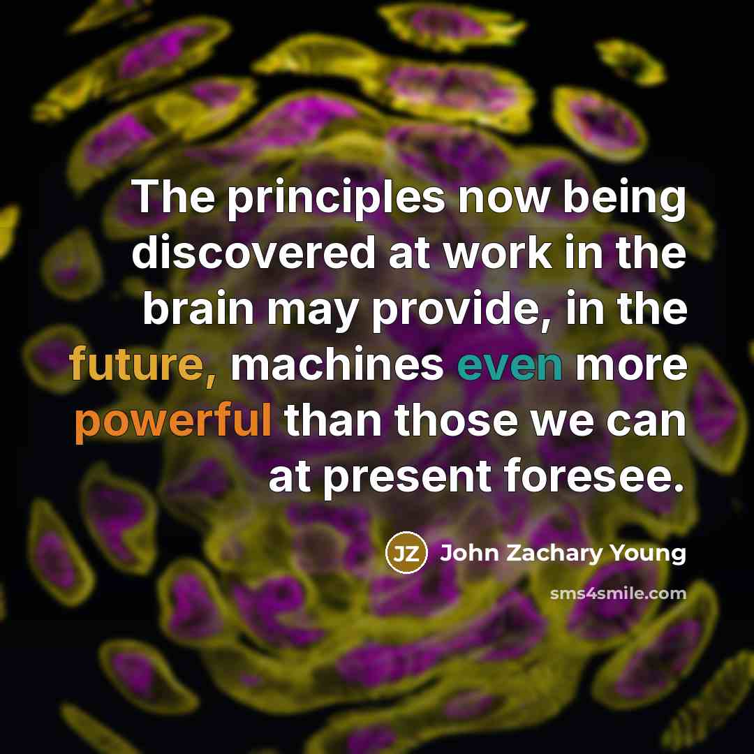 “The principles now being discovered at work in the brain…” quote by John Zachary Young