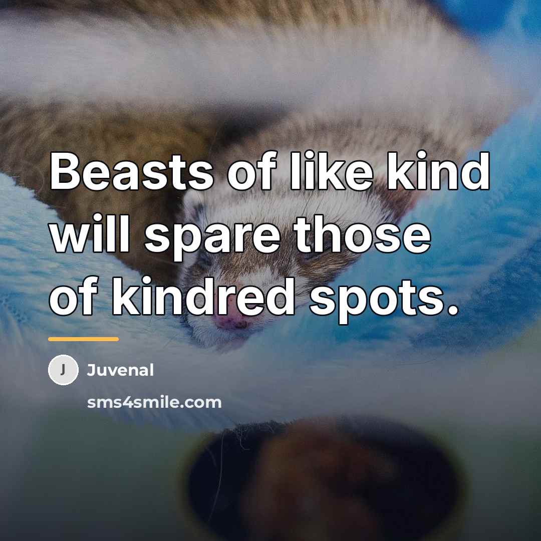 “Beasts of like kind will spare those of kindred spots.…” quote by Juvenal