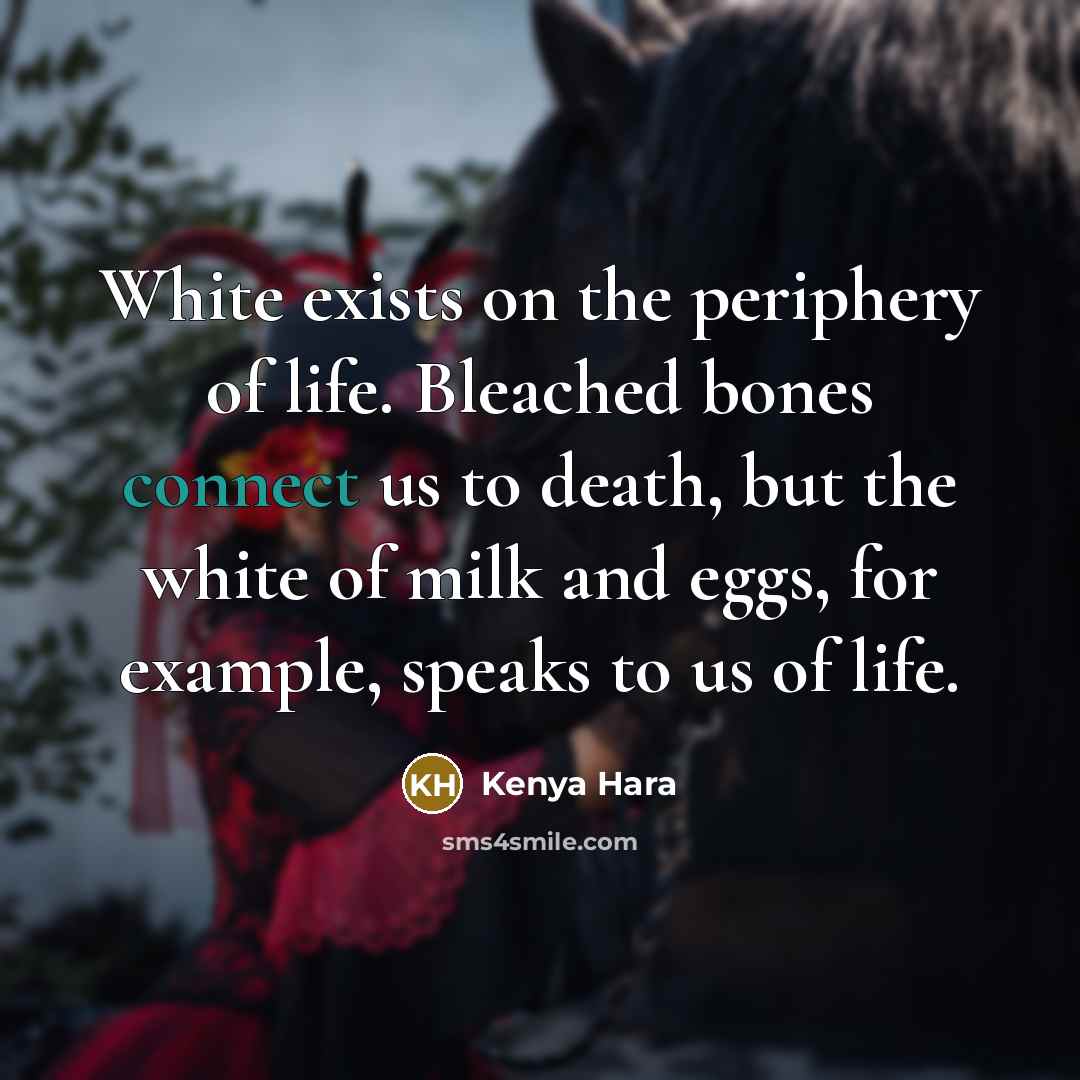 “White exists on the periphery of life. Bleached bones connect…” quote by Kenya Hara