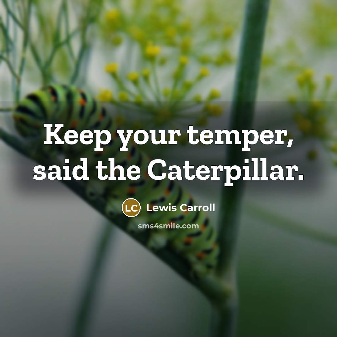 “Keep your temper, said the Caterpillar.” quote by Lewis Carroll