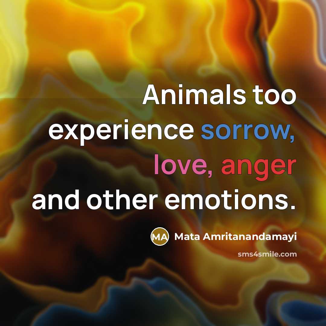 “Animals too experience sorrow, love, anger and other emotions.…” quote by Mata Amritanandamayi