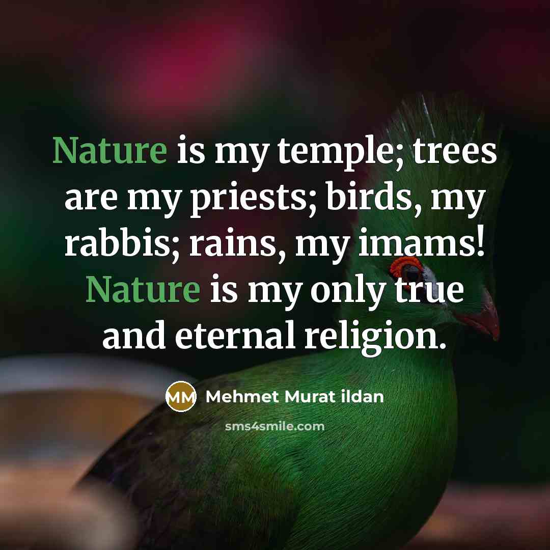 “Nature is my temple; trees are my priests; birds, my…” quote by Mehmet Murat Ildan