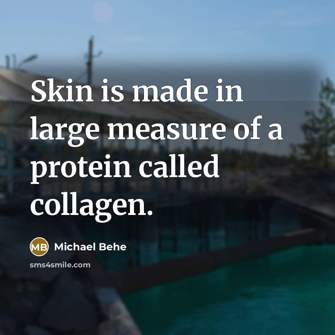 “Skin is made in large measure of a protein called collagen.” quote by Michael Behe