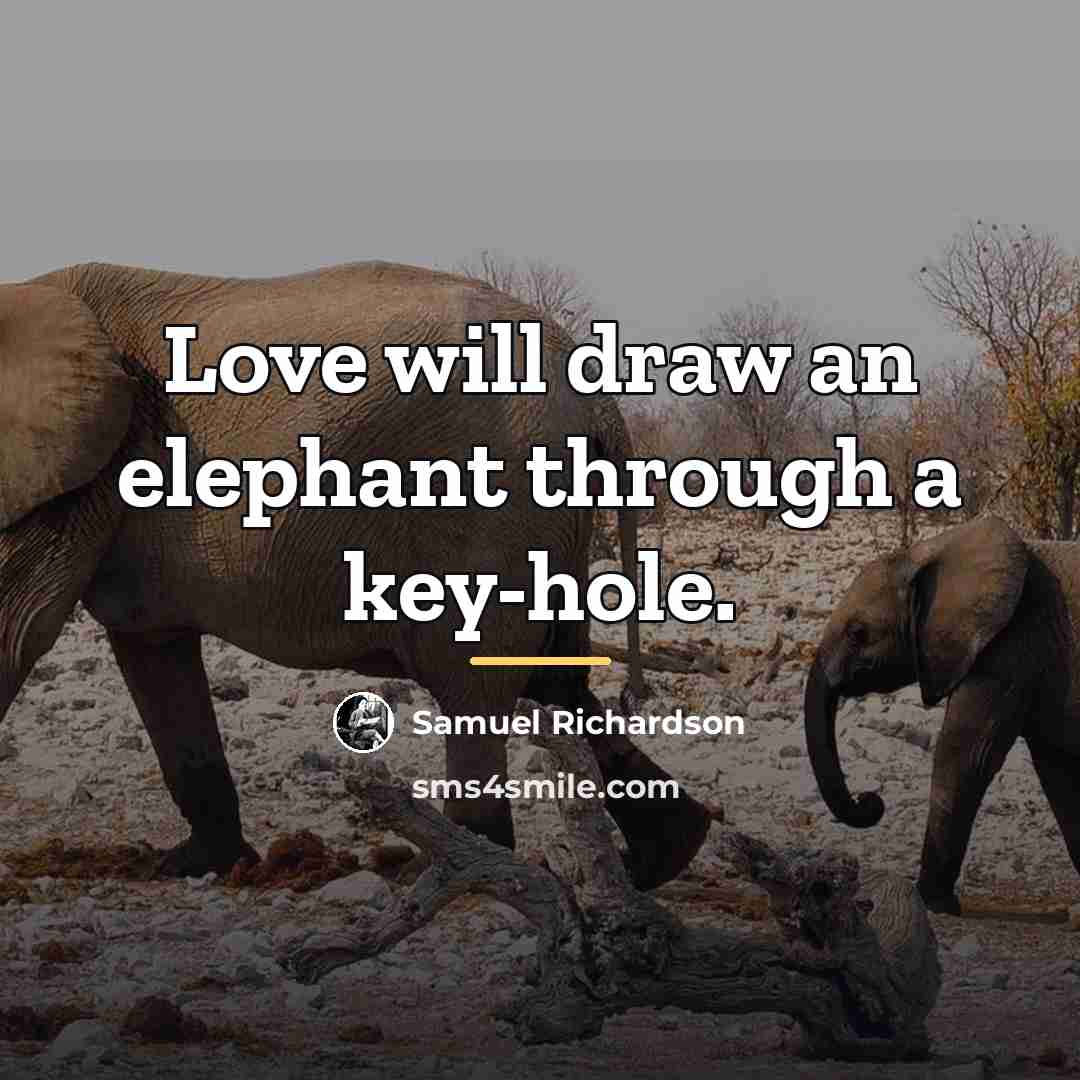 “Love will draw an elephant through a key-hole.…” quote by Samuel Richardson