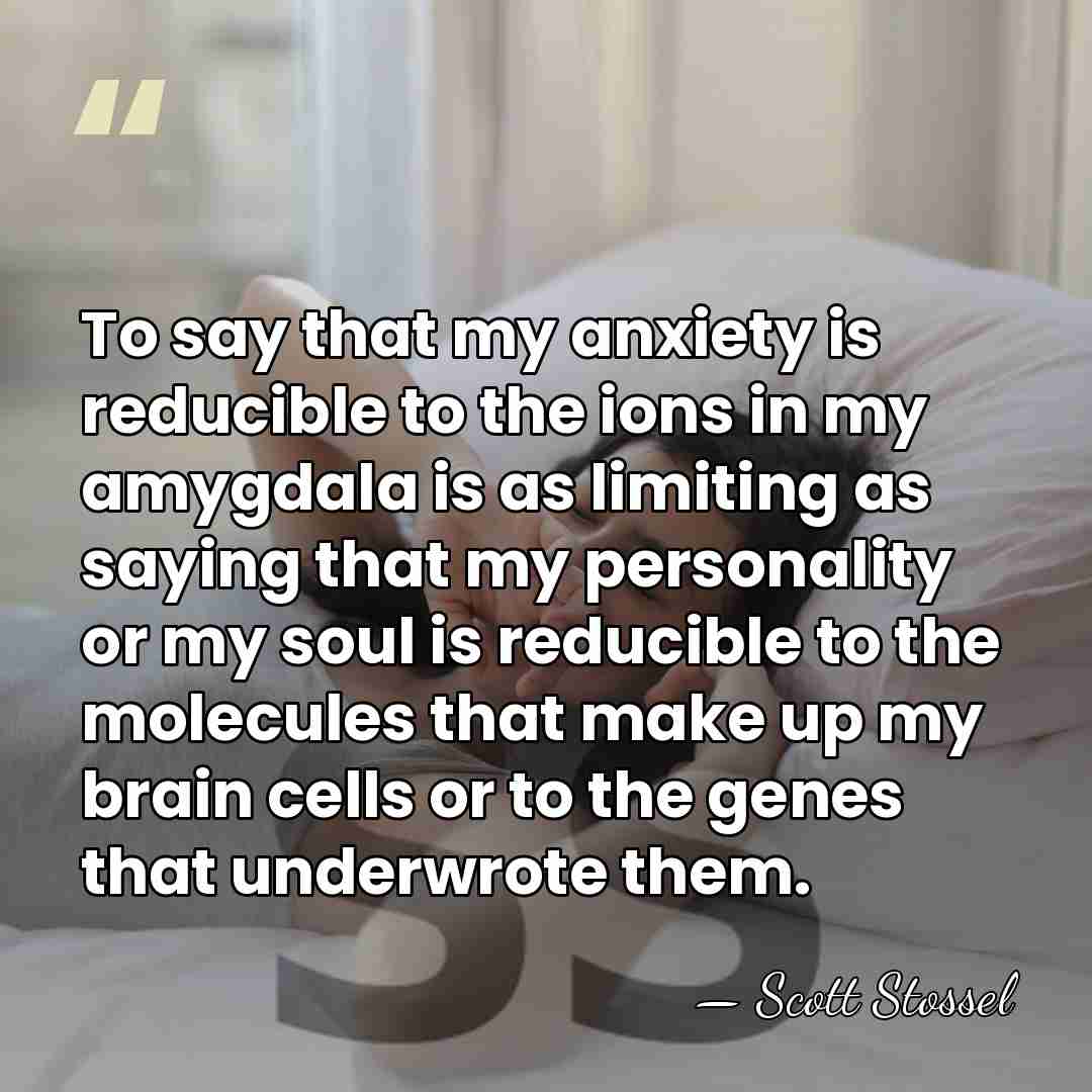 To say that my anxiety is reducible to the ions in my&hellip; - Scott Stossel