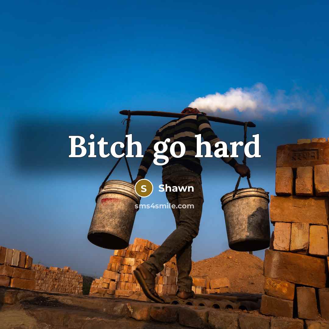 “Bitch go hard” quote by Shawn