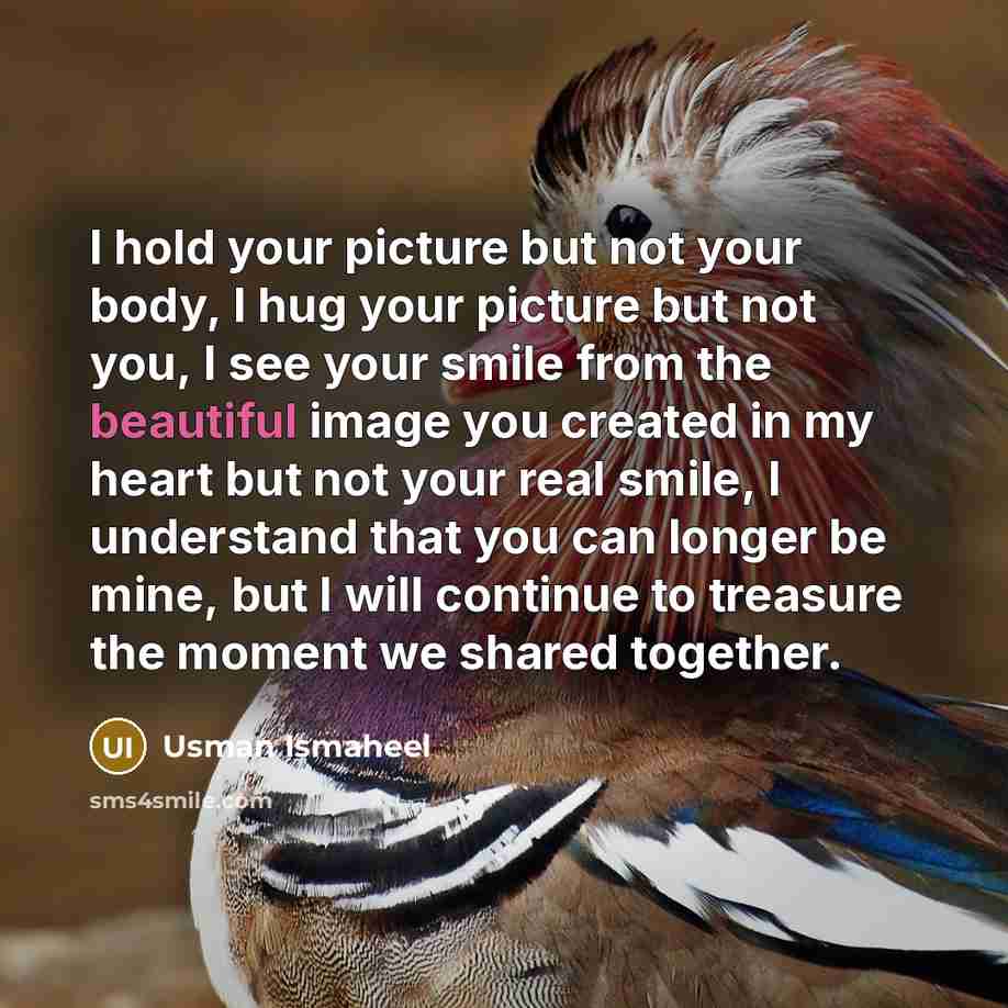 “I hold your picture but not your body, I hug…” quote by Usman Ismaheel