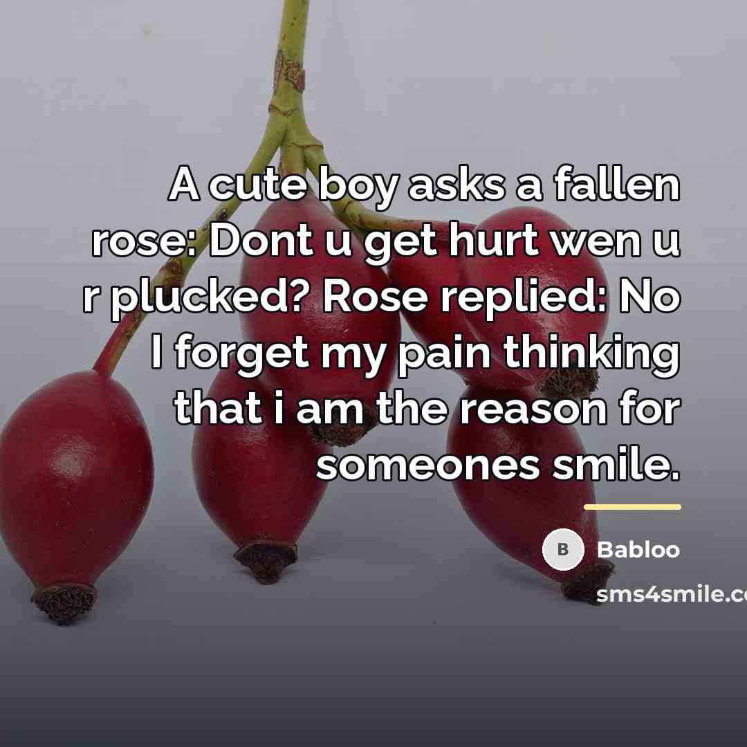 “A cute boy asks a fallen rose: Dont u get…” quote by Babloo