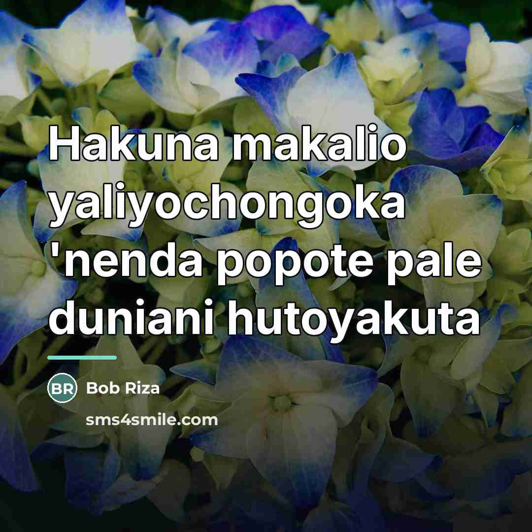 “Hakuna makalio yaliyochongoka 'nenda popote pale duniani hutoyakuta…” quote by Bob Riza