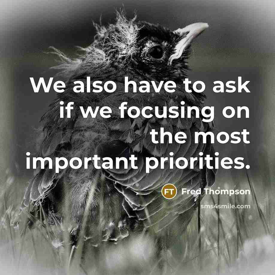 “We also have to ask if we focusing on the…” quote by Fred Thompson