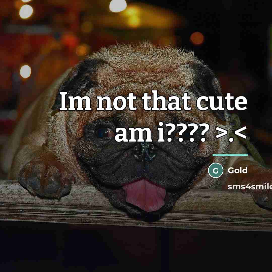 “Im not that cute am i???? >.…” quote by Gold