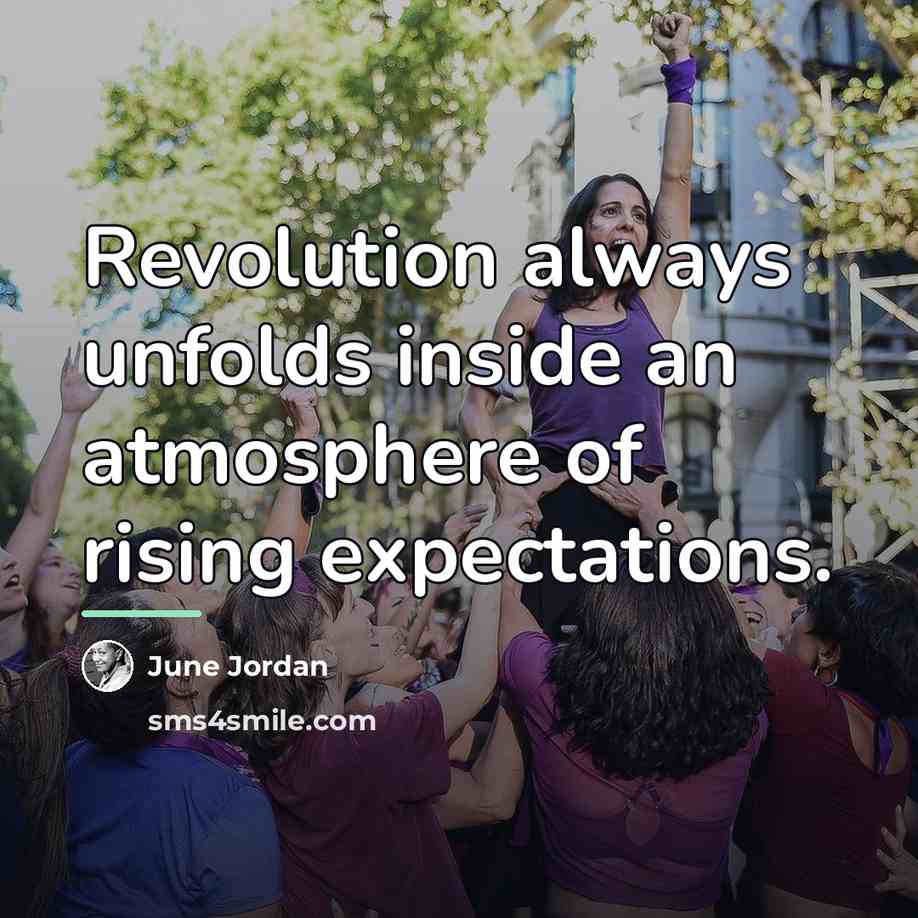 “Revolution always unfolds inside an atmosphere of rising expectations.…” quote by June Jordan