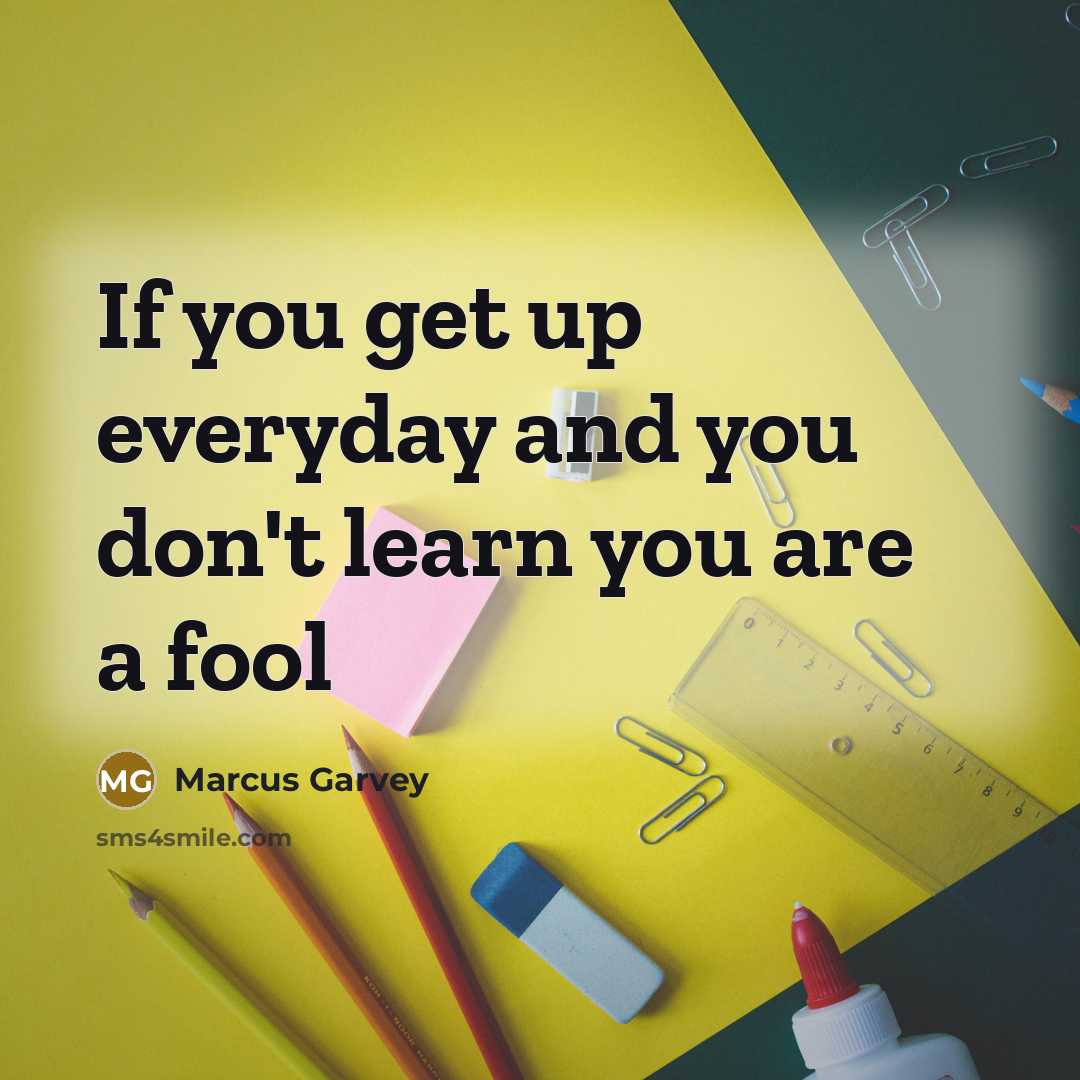 “If you get up everyday and you don't learn you…” quote by Marcus Garvey