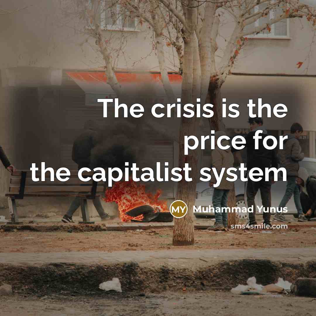 “The crisis is the price for the capitalist system…” quote by Muhammad Yunus