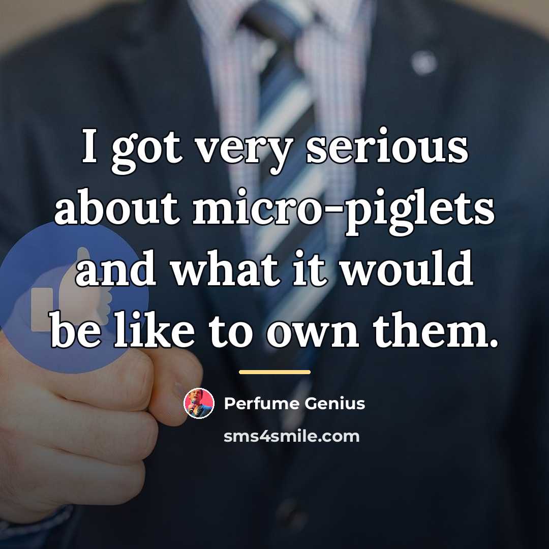 “I got very serious about micro-piglets and what it would…” quote by Perfume Genius