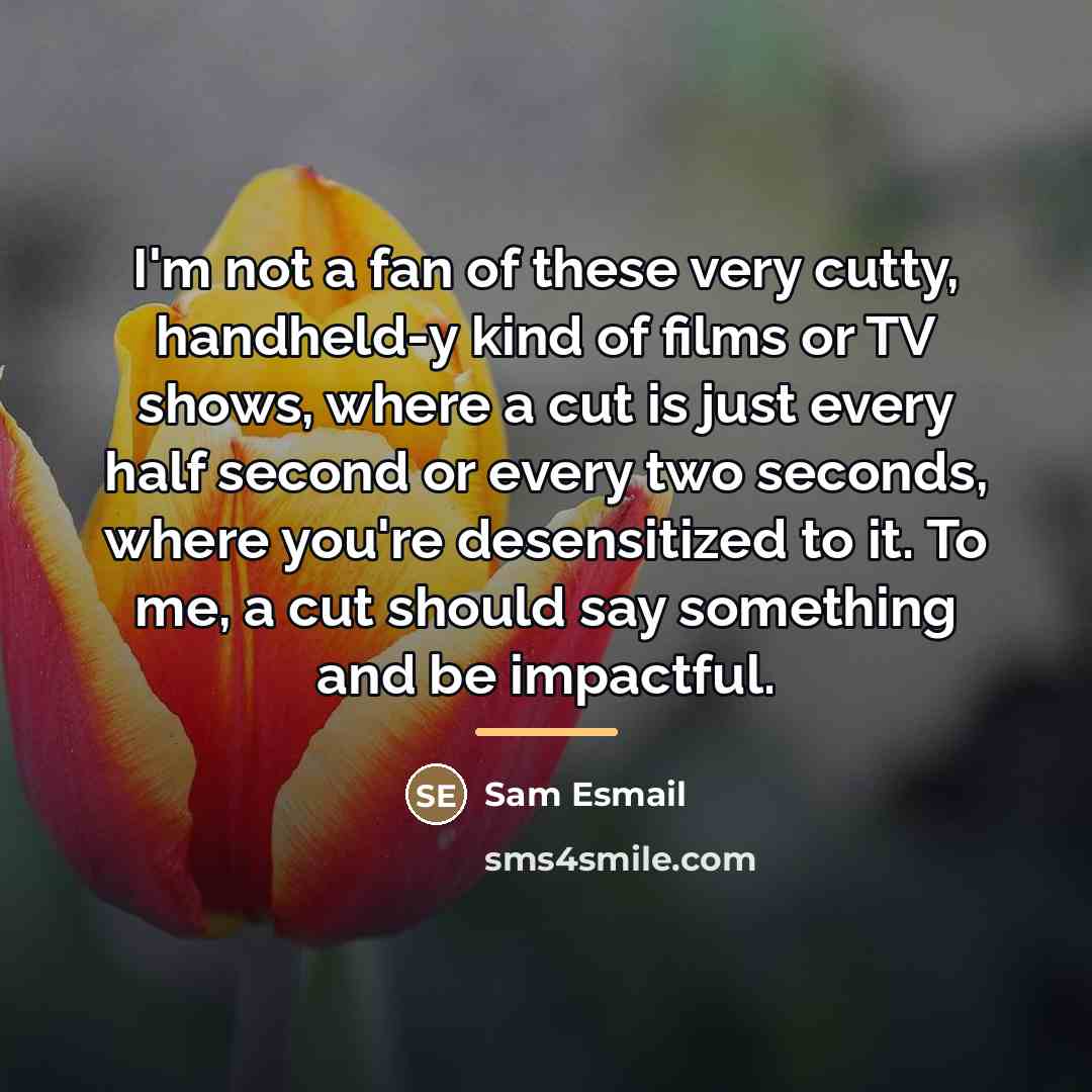 “I'm not a fan of these very cutty, handheld-y kind…” quote by Sam Esmail