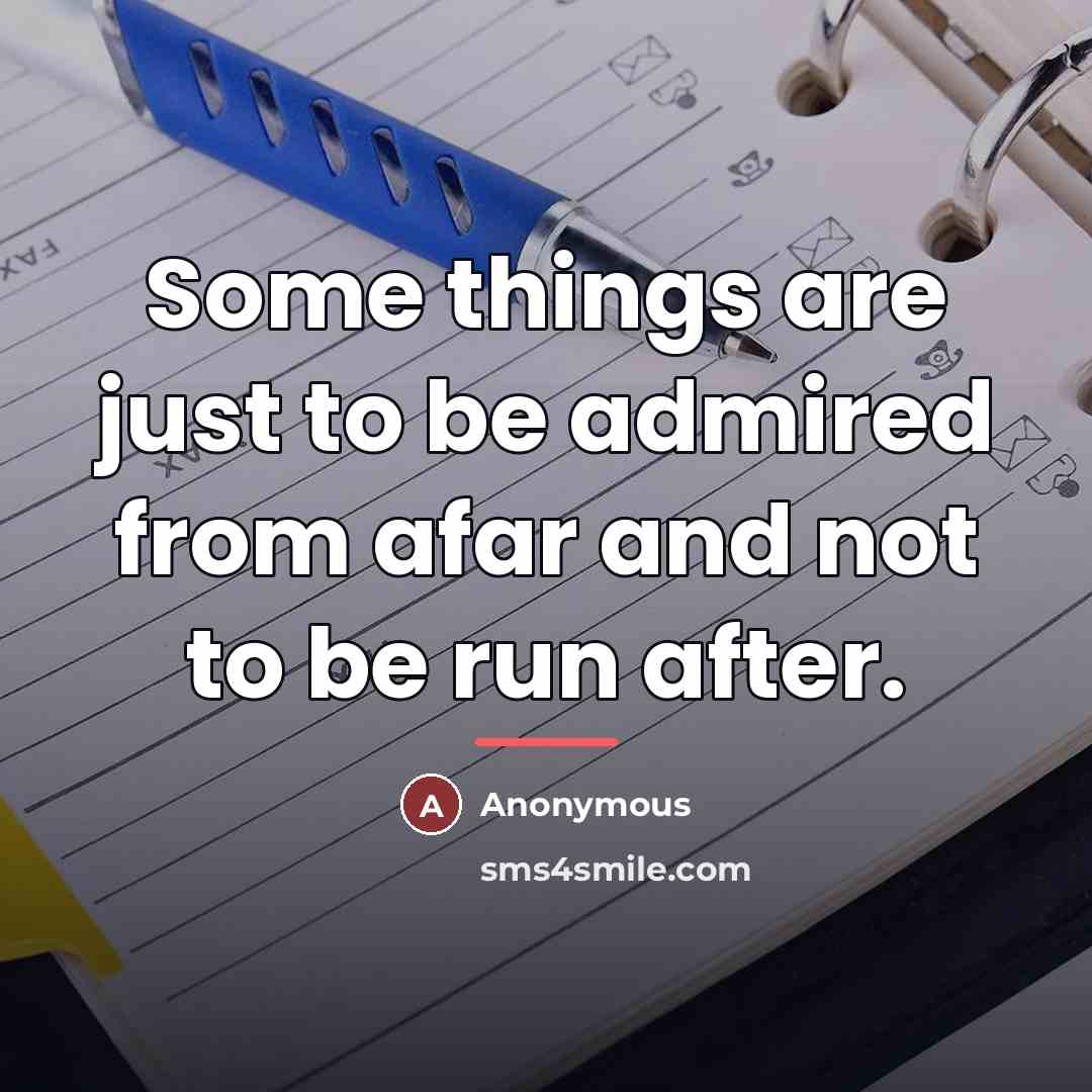 “Some things are just to be admired from afar and…” quote by Anonymous