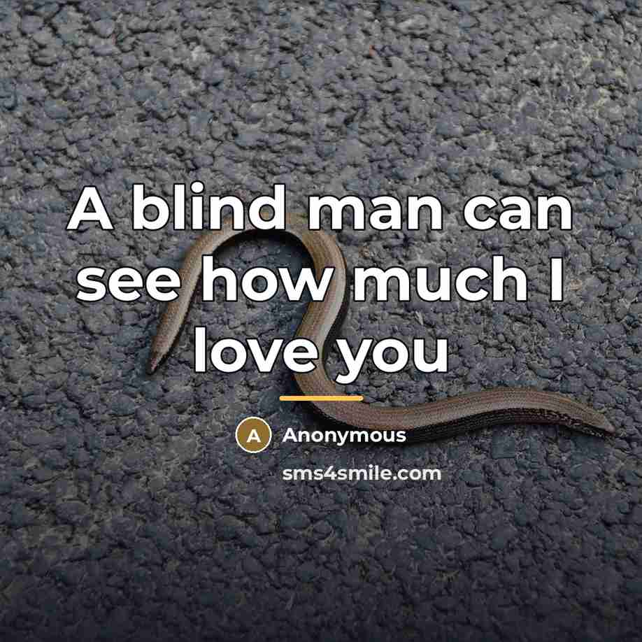 “A blind man can see how much I love you…” quote by Anonymous