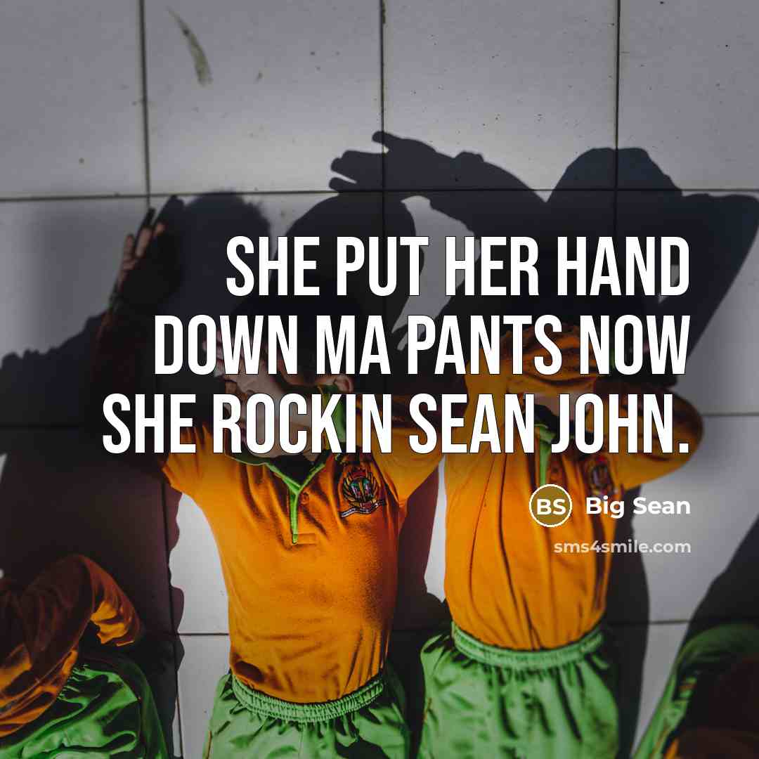 “She put her hand down ma pants now she rockin…” quote by Big Sean