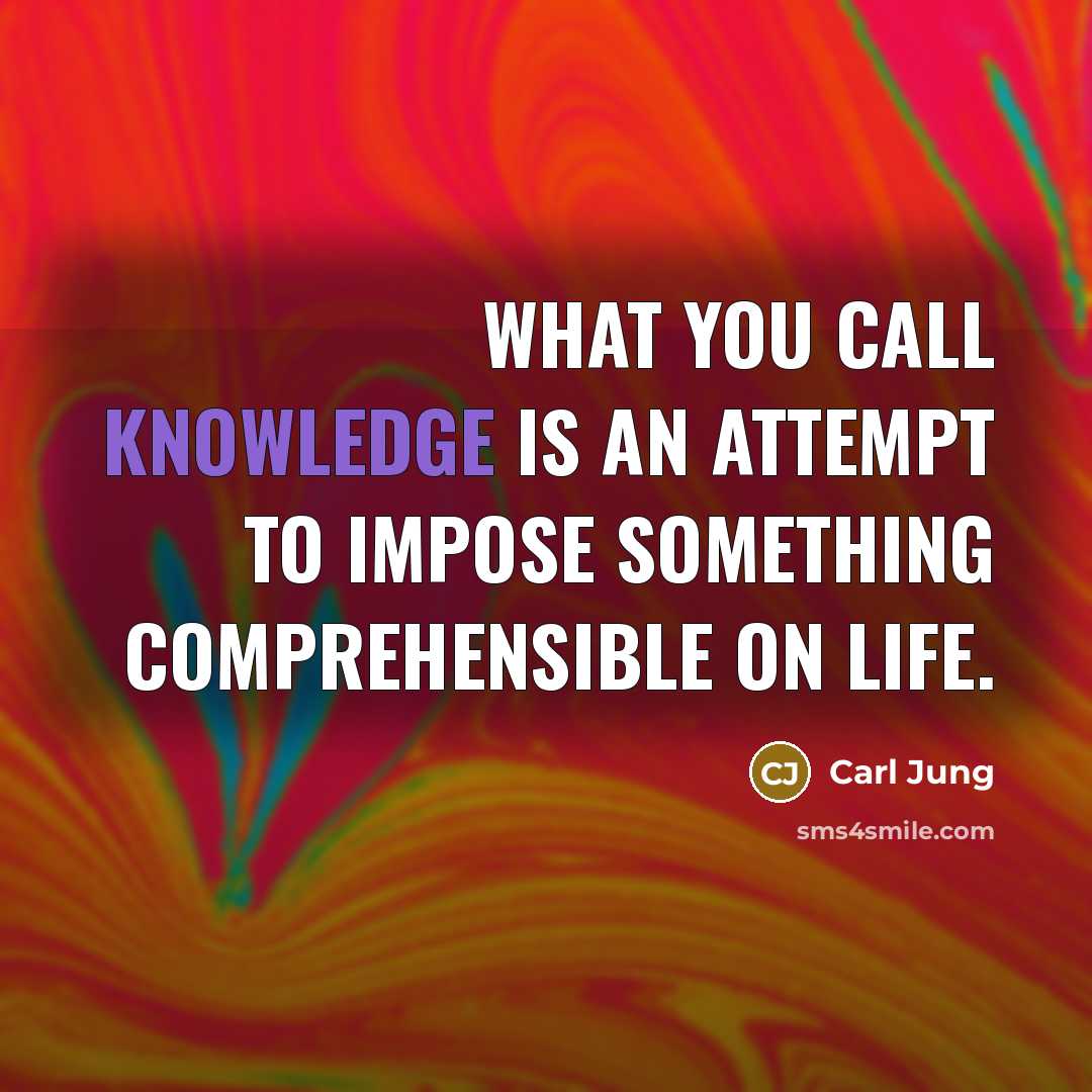“What you call knowledge is an attempt to impose something…” quote by Carl Jung