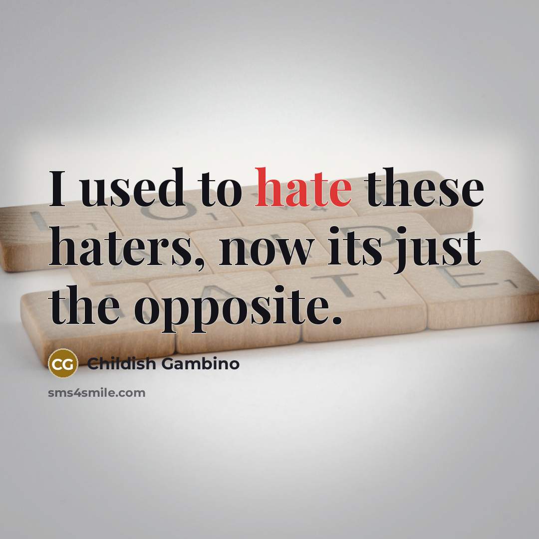 “I used to hate these haters, now its just the…” quote by Childish Gambino