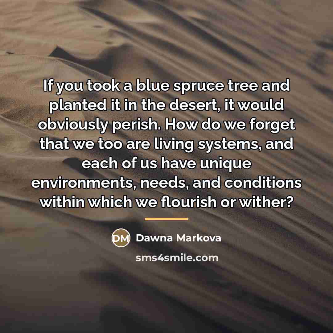 “If you took a blue spruce tree and planted it…” quote by Dawna Markova
