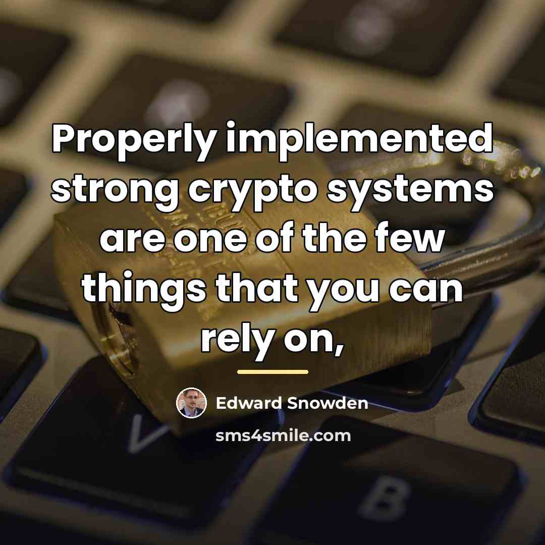 “Properly implemented strong crypto systems are one of the few…” quote by Edward Snowden