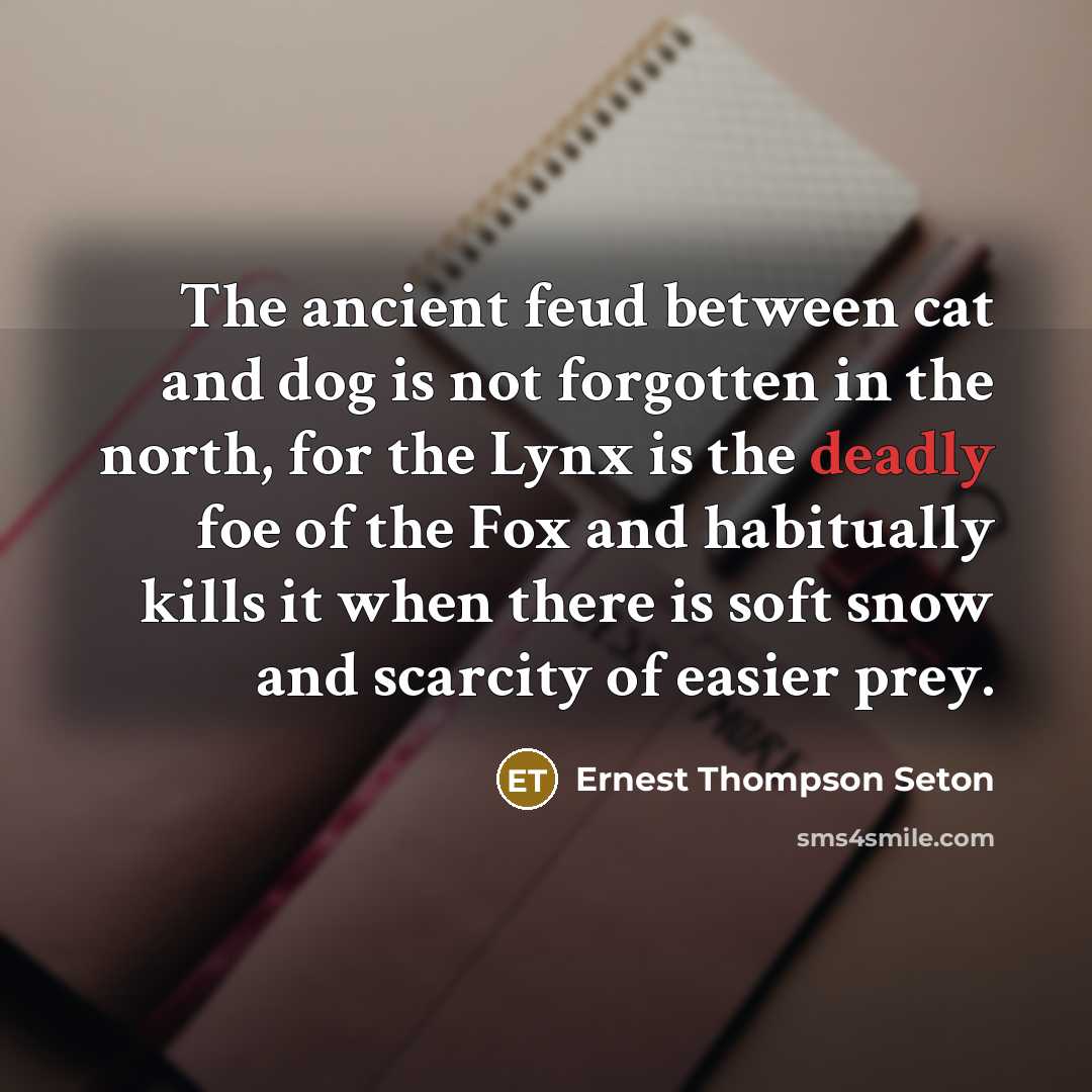 “The ancient feud between cat and dog is not forgotten…” quote by Ernest Thompson Seton