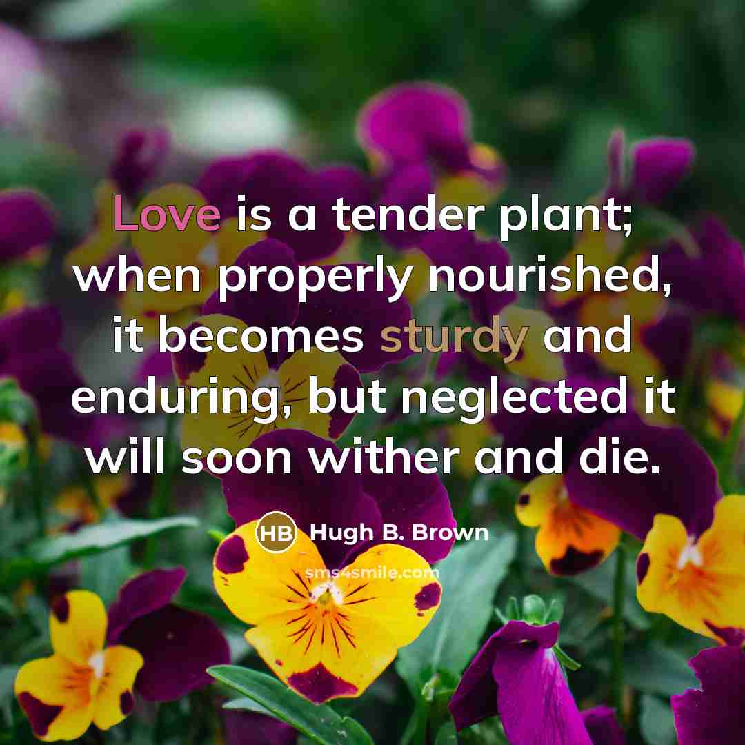 “Love is a tender plant; when properly nourished, it becomes…” quote by Hugh B. Brown