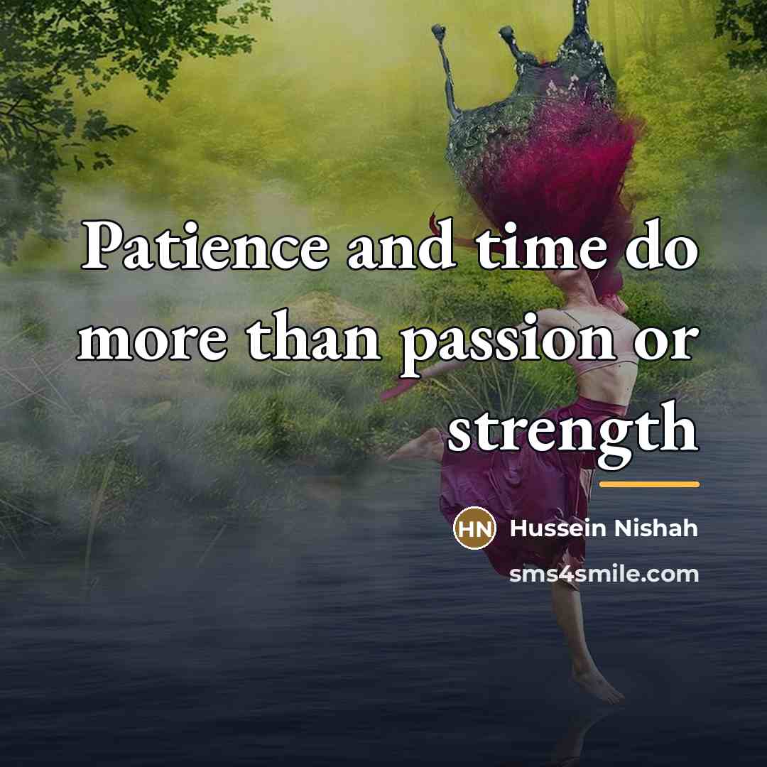 “Patience and time do more than passion or strength…” quote by Hussein Nishah
