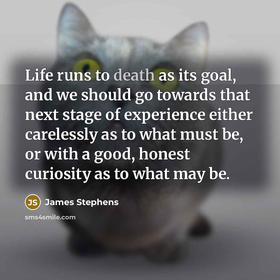 “Life runs to death as its goal, and we should…” quote by James Stephens