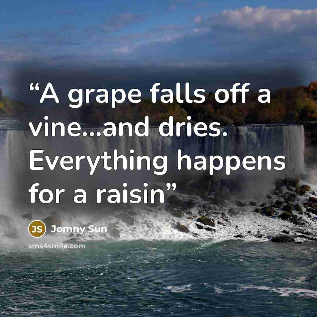“A grape falls off a vine...and dries. Everything happens for a raisin” quote by Jomny Sun
