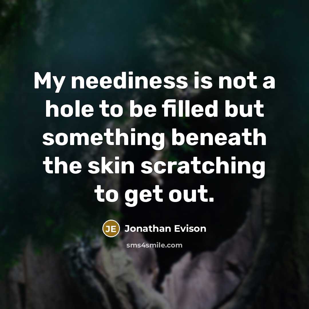 “My neediness is not a hole to be filled but…” quote by Jonathan Evison
