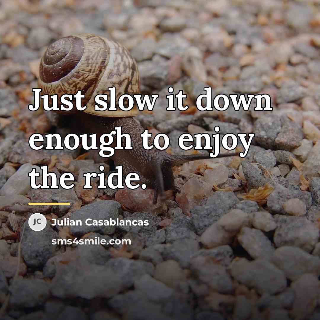 “Just slow it down enough to enjoy the ride.…” quote by Julian Casablancas