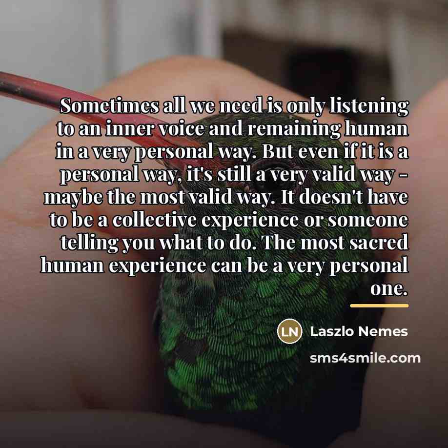 “Sometimes all we need is only listening to an inner…” quote by Laszlo Nemes
