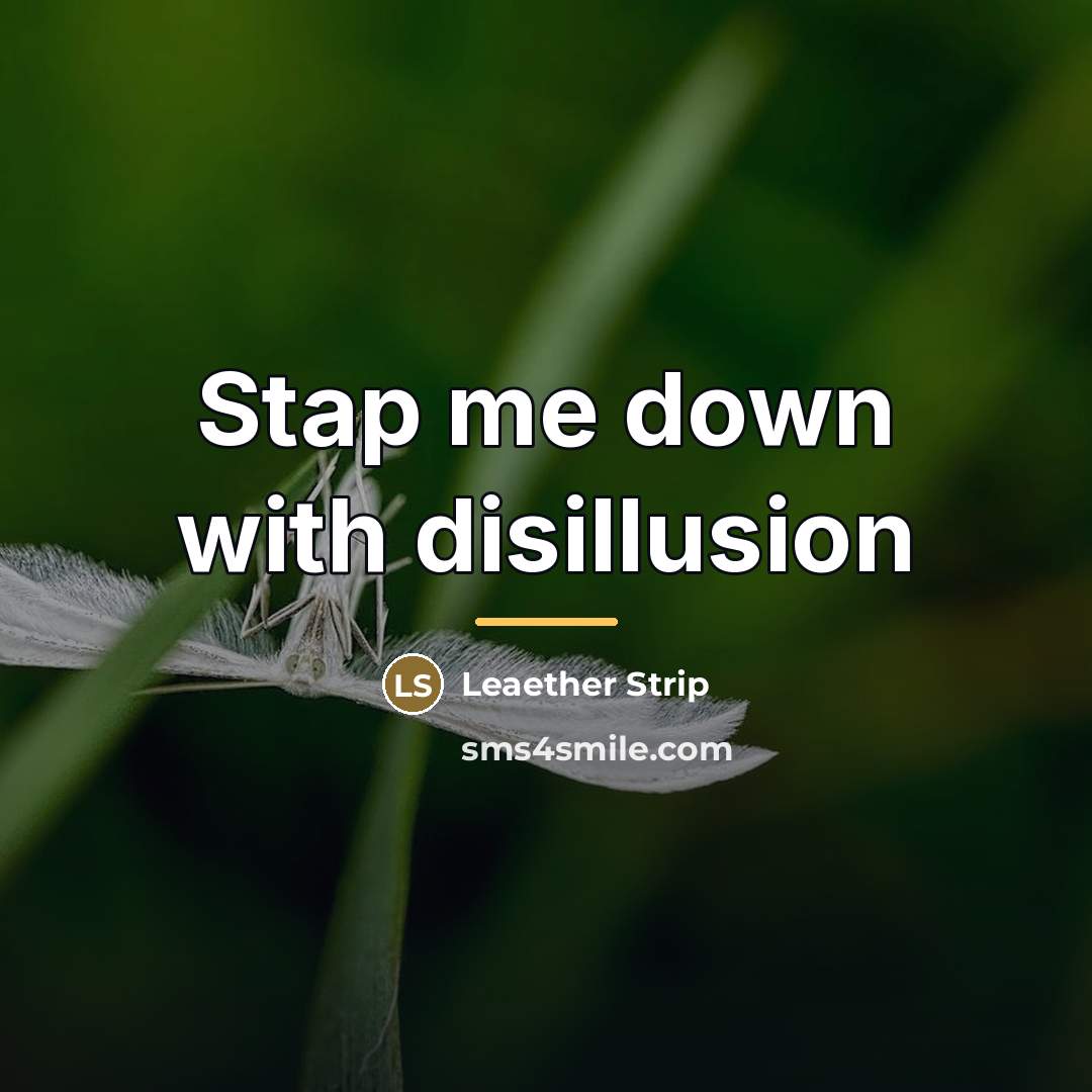“Stap me down with disillusion…” quote by Leaether Strip