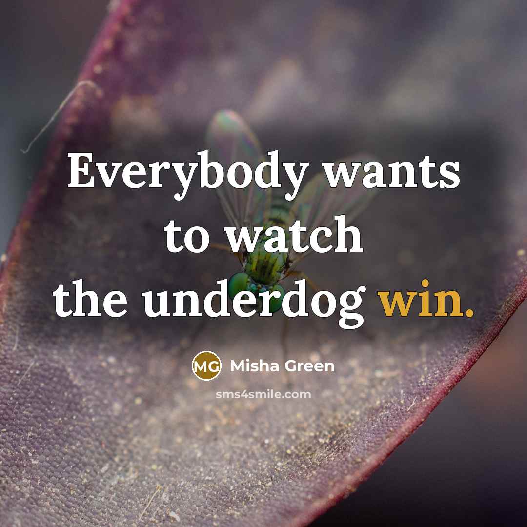 “Everybody wants to watch the underdog win.…” quote by Misha Green