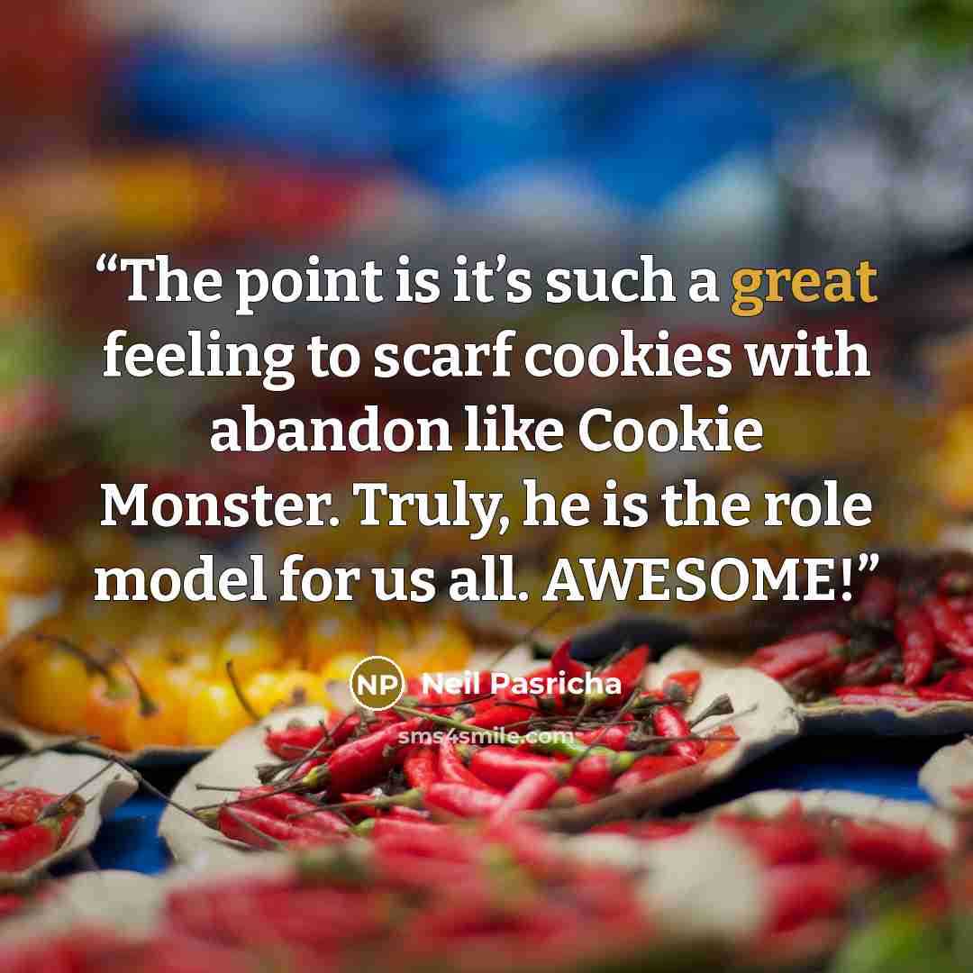 “The point is it’s such a great feeling to scarf cookies with abandon like Cookie Monster. Truly, he is the role model for us all. AWESOME!” quote by Neil Pasricha