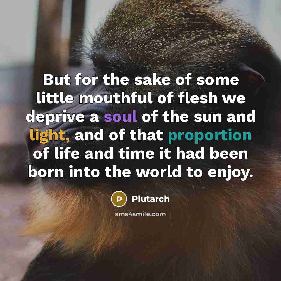 “But for the sake of some little mouthful of flesh…” quote by Plutarch