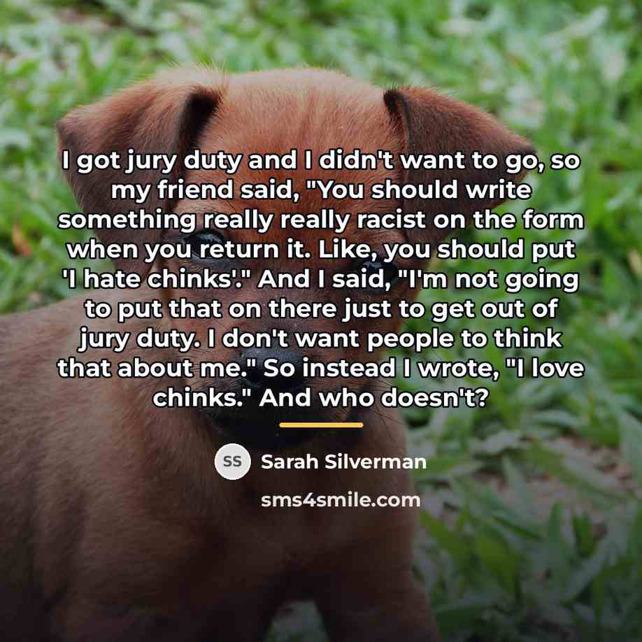 “I got jury duty and I didn't want to go,…” quote by Sarah Silverman