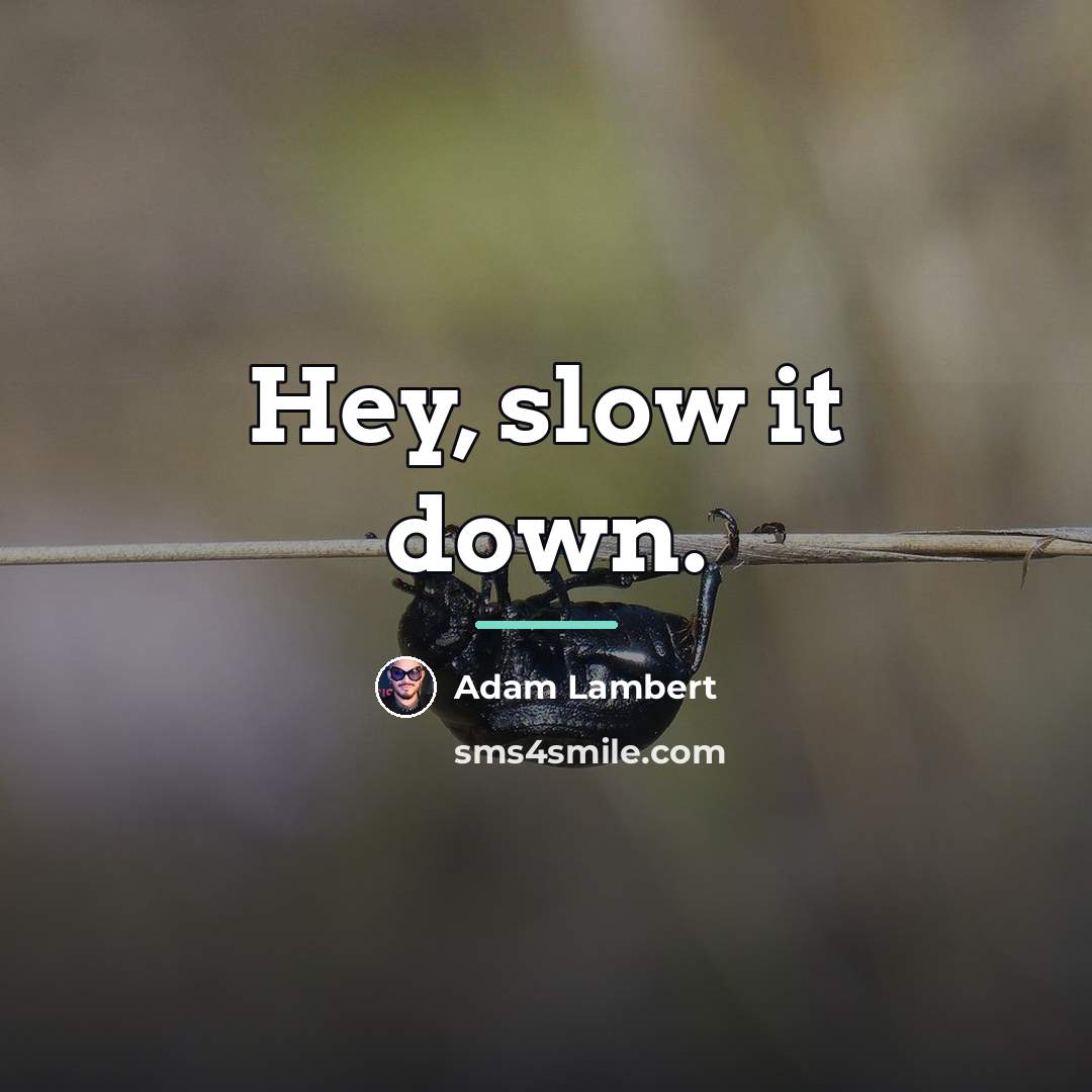 “Hey, slow it down.…” quote by Adam Lambert