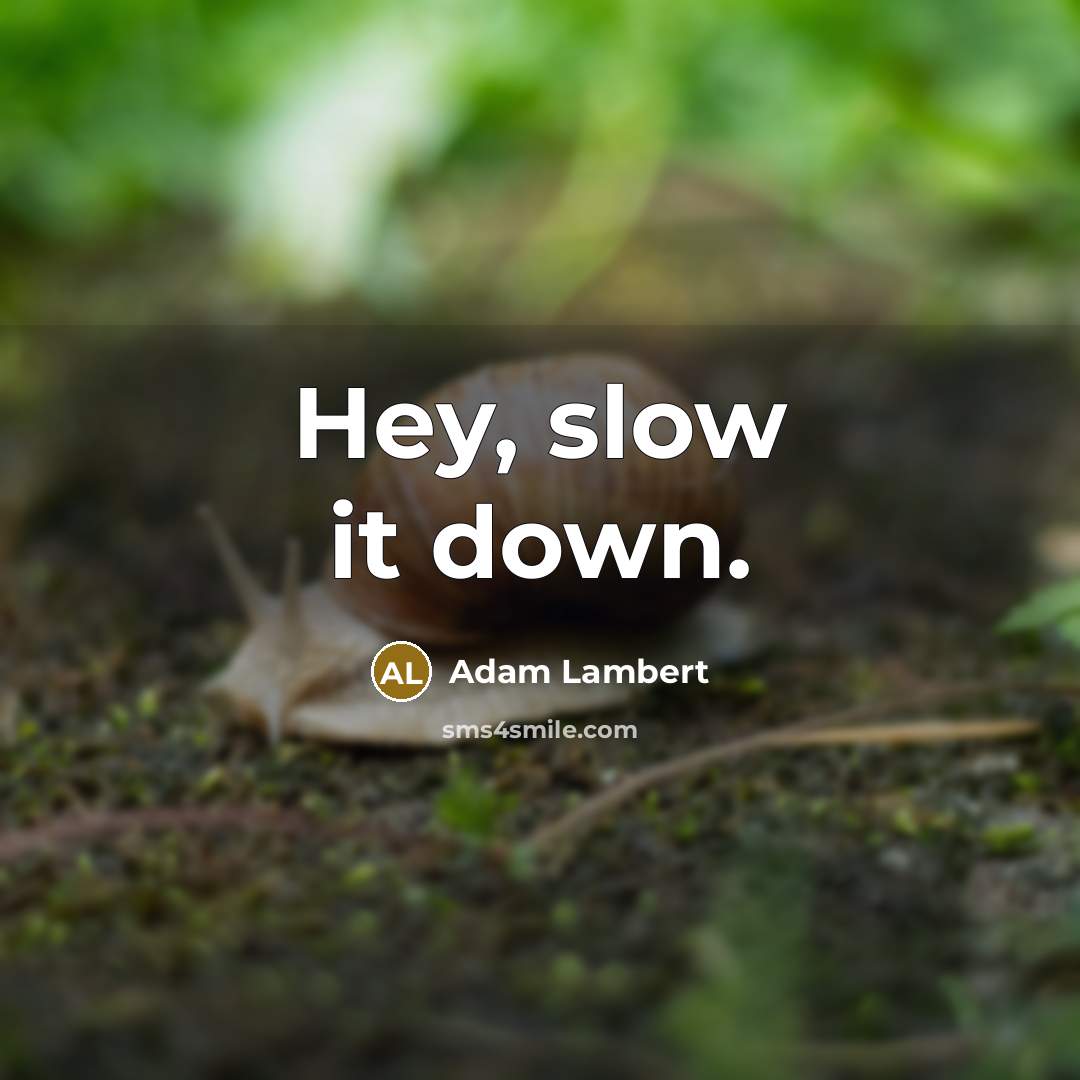 “Hey, slow it down.” quote by Adam Lambert