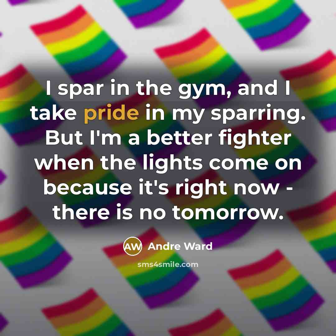 “I spar in the gym, and I take pride in…” quote by Andre Ward