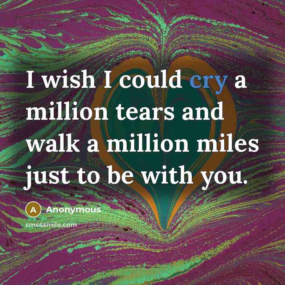 “I wish I could cry a million tears and walk…” quote by Anonymous