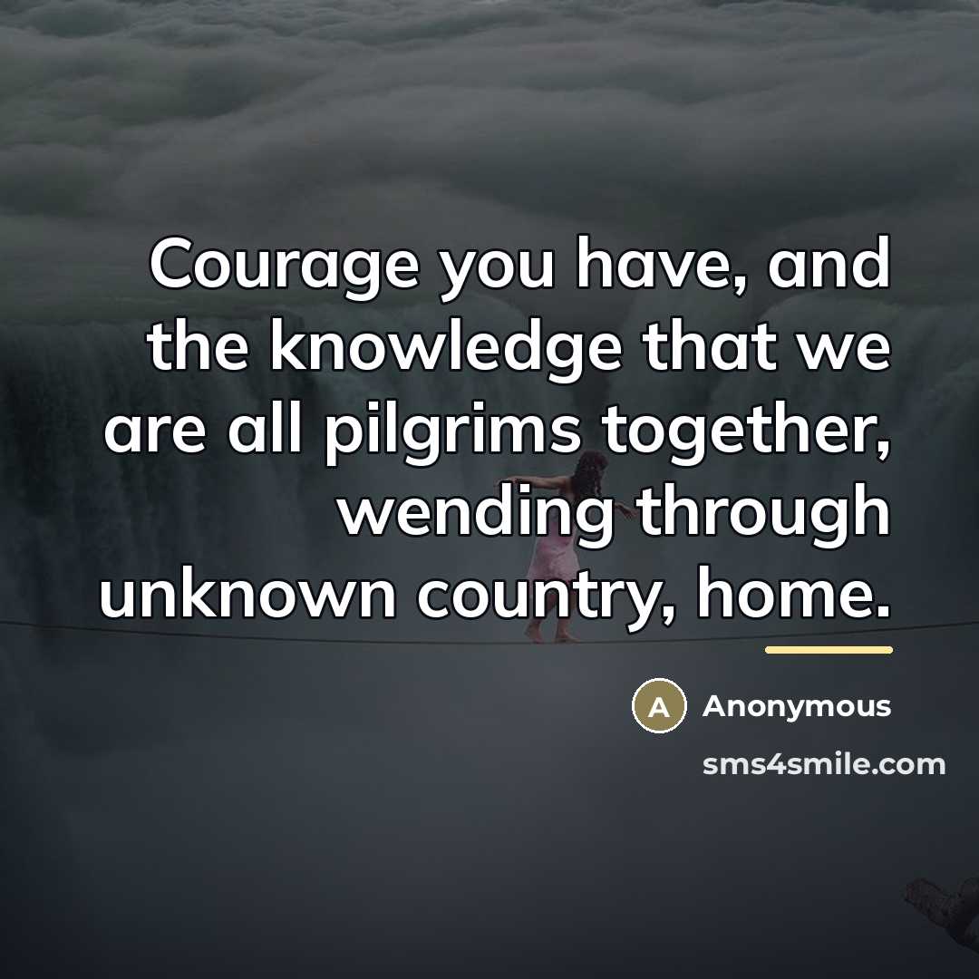 “Courage you have, and the knowledge that we are all…” quote by Anonymous