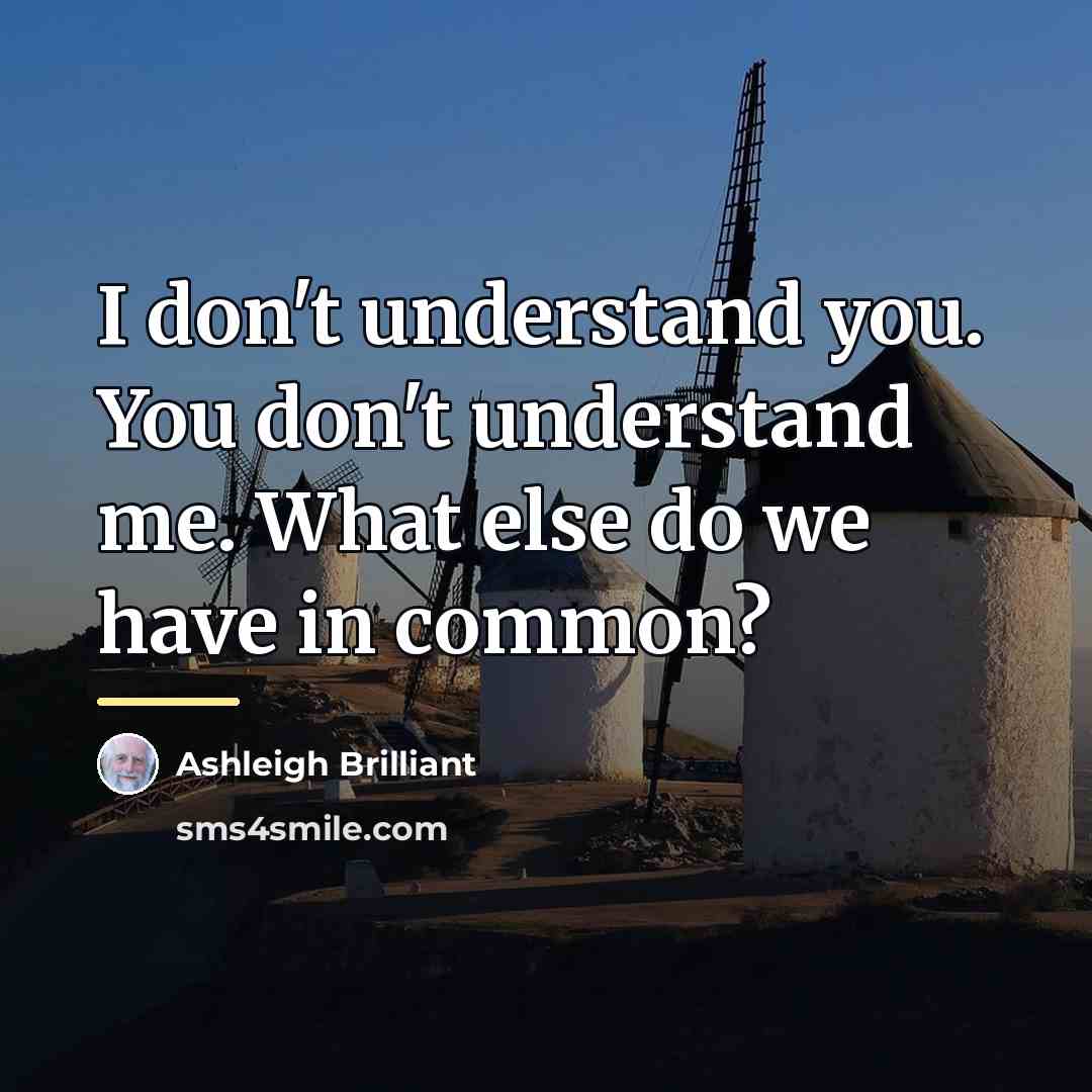 “I don't understand you. You don't understand me. What else…” quote by Ashleigh Brilliant