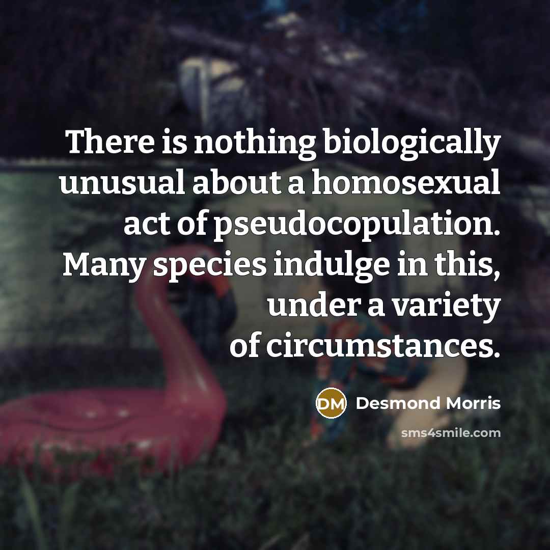“There is nothing biologically unusual about a homosexual act of…” quote by Desmond Morris